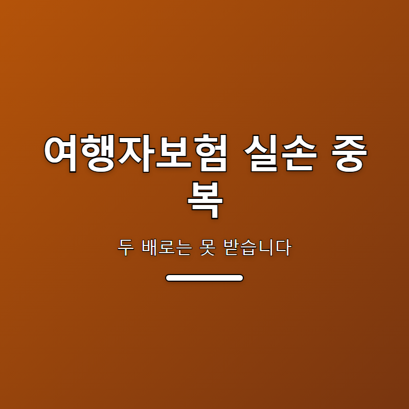 여행자보험 실손 중복, 두 배로는 못 받습니다