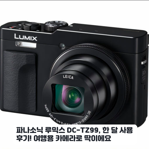 루믹스 TZ99 디지털카메라 며칠 써본 일상 스냅 기록 느낌