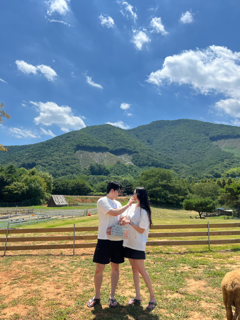 하동여행 해뜰목장! 동물체험하기에 딱 좋은 곳!! 목장체험 추천! 피자만들기도 가능!