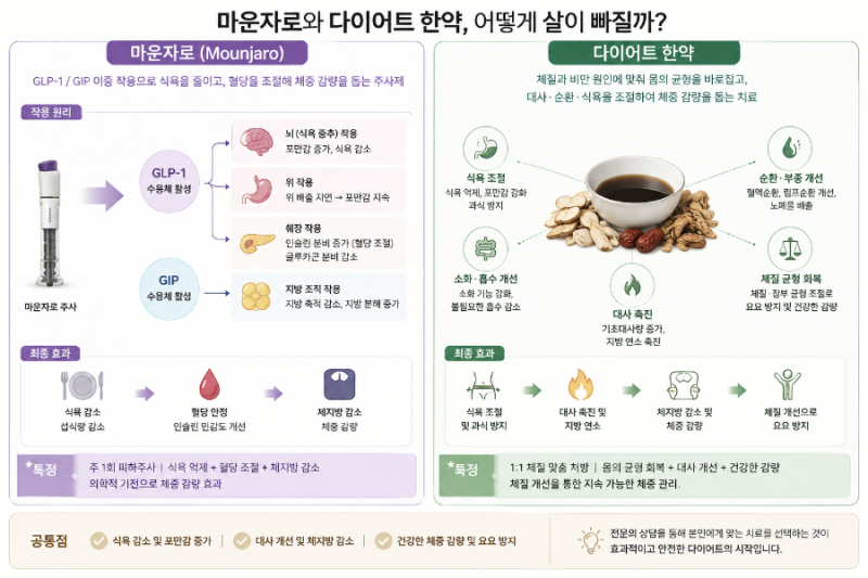 마운자로와 다이어트 한약, 살 빠지는 원리는 어떻게 다를까?