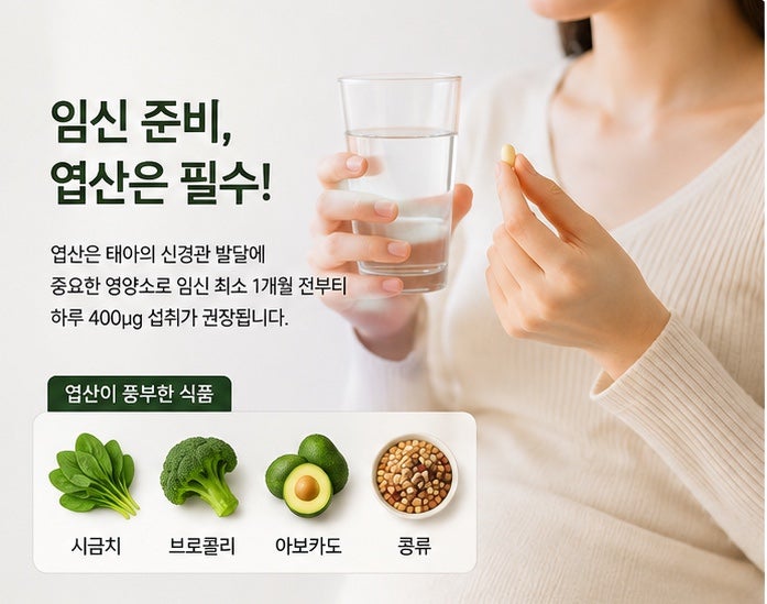 임신 준비 영양제 총정리｜여자·남자 추천 영양소