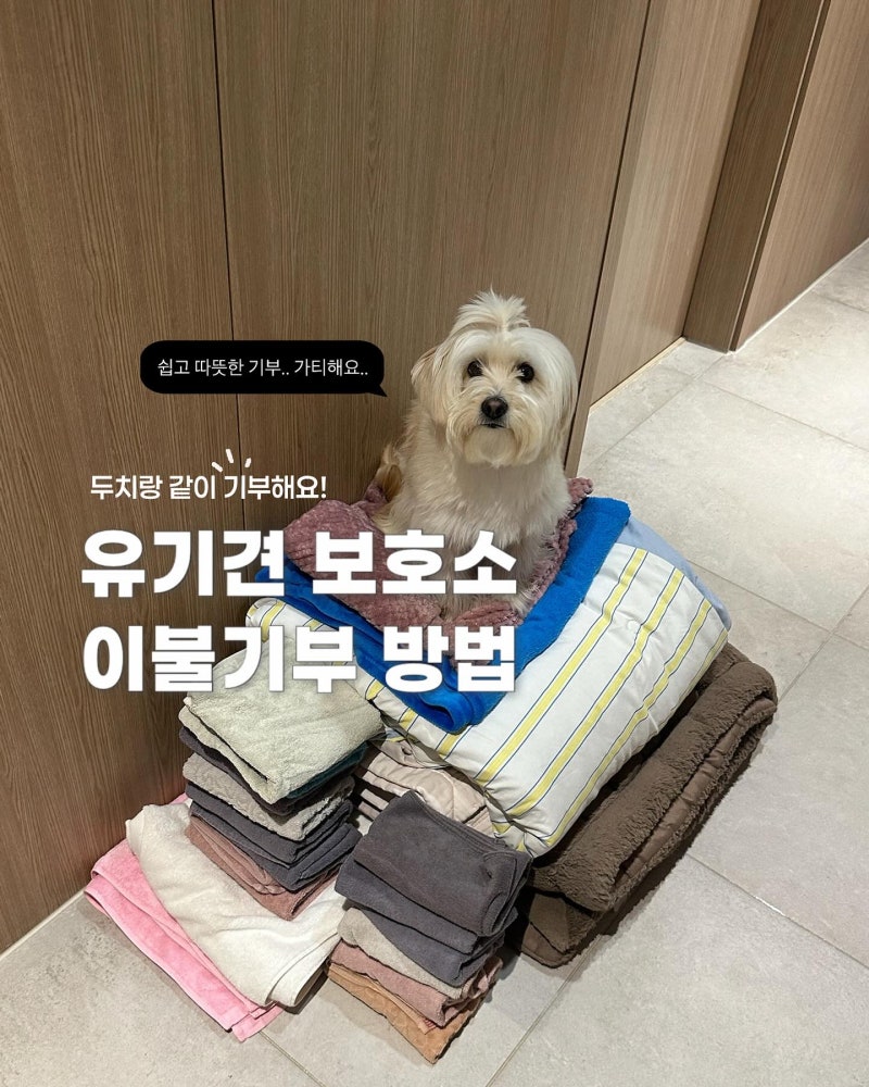 유기견 보호소 이불기부 방법