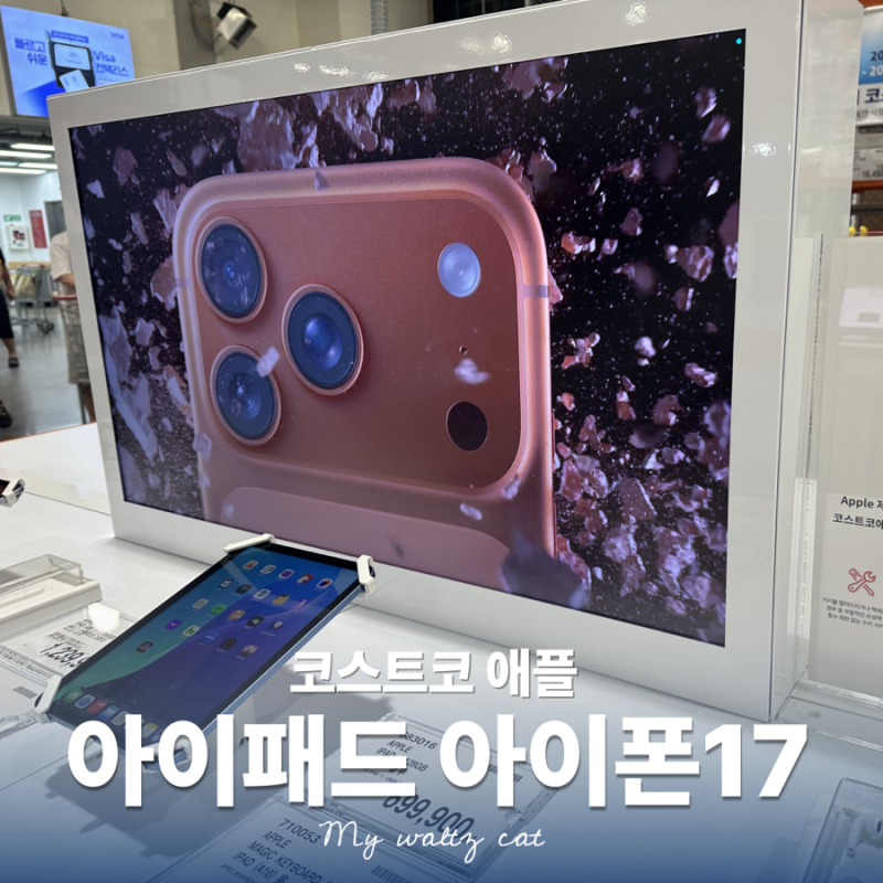8월 코스트코 아이패드 아이폰17 애플워치 할인 행사 가격 정보