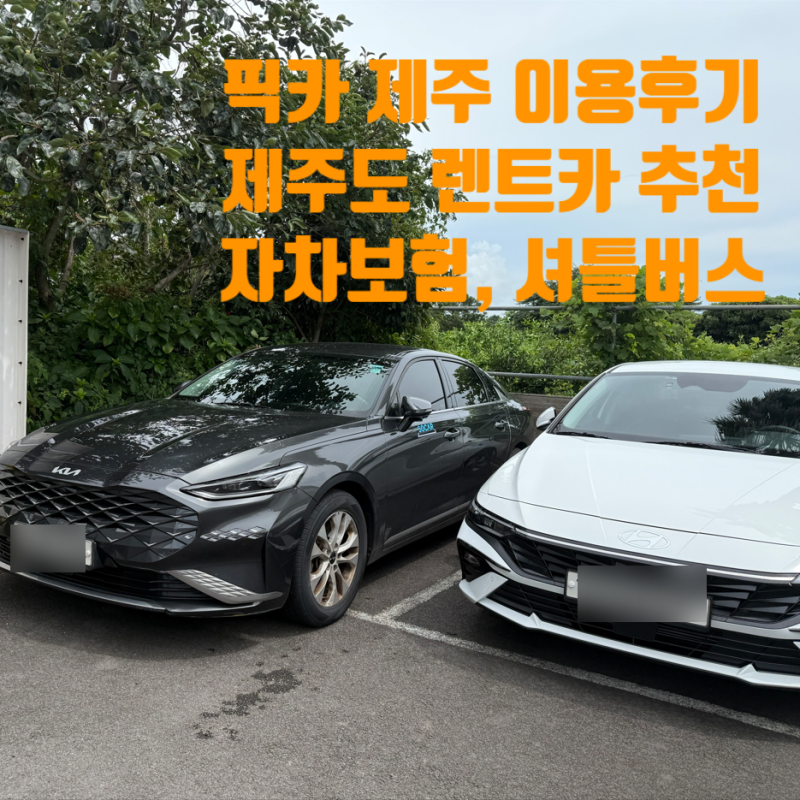 제주도 렌트카 추천 픽카 공항셔틀탑승 및 고급자차보험 꿀팁