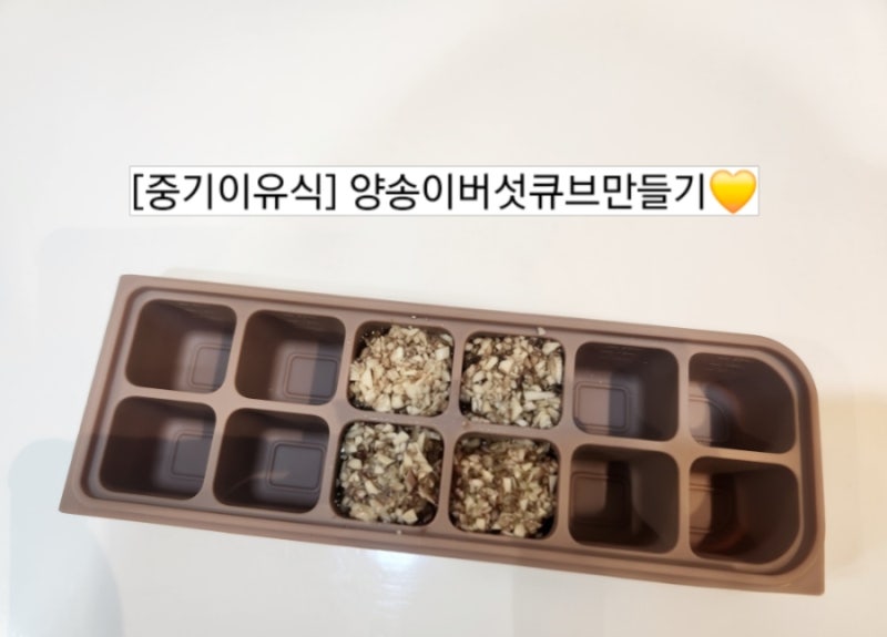 [중기이유식] 양송이버섯큐브만들기