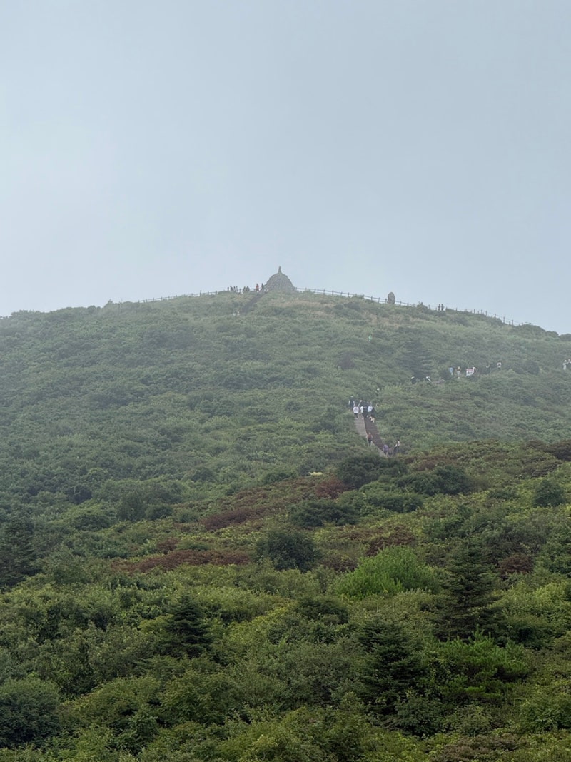 지리산 노고단 탐방예약과 성삼재 주차장 TIP, 그리고 예약없이 다녀온 최적코스