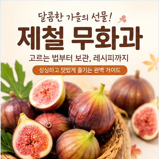 가을 제철 무화과 고르는 법부터 손질, 냉동 보관법, 홈카페 레시피까지 총정리!