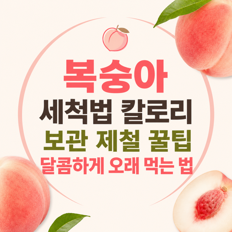복숭아 세척법 칼로리 보관 제철 꿀팁 달콤하게 오래 먹는 법
