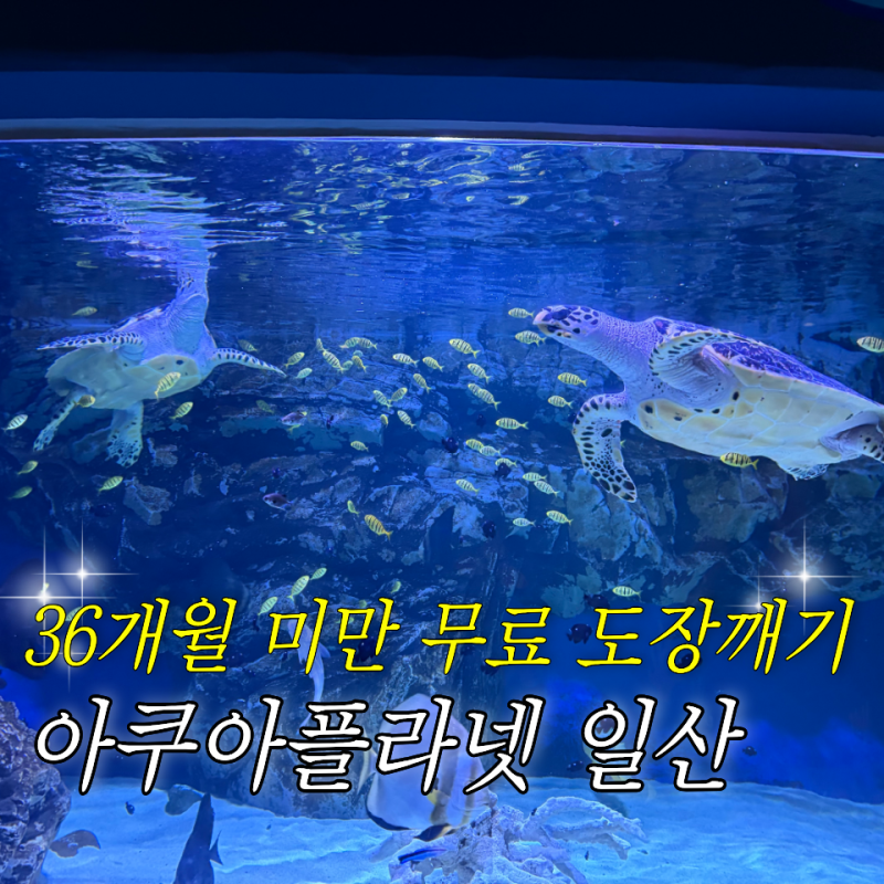 경기도 아이랑 갈만한곳 아쿠아플라넷 일산｜36개월 미만 무료