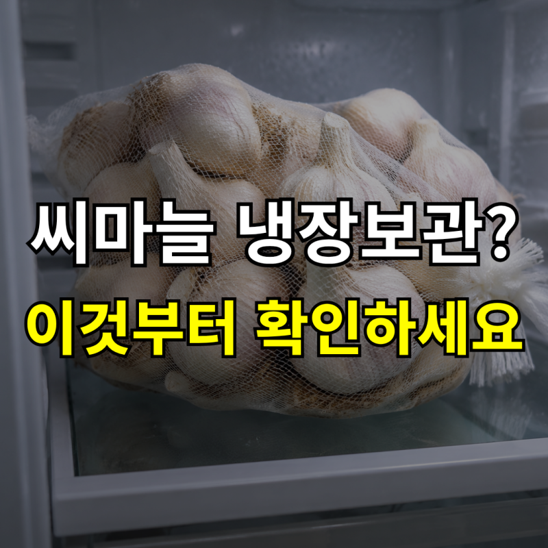 가을 마늘 심는 시기와 방법, 씨마늘을 오래 냉장 보관하면 안 되는 이유