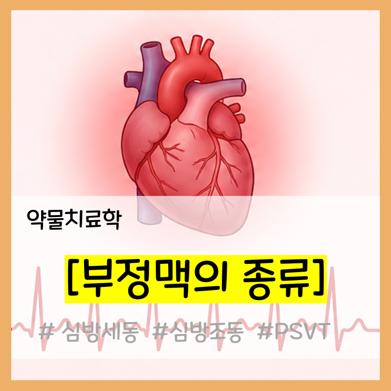 [약물치료학] 부정맥의 종류 한방에 정리해보자!(feat. Araboza)