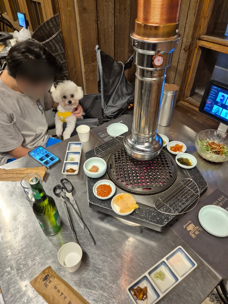 광안리 애견동반 식당 고기집 돈베기 광안점