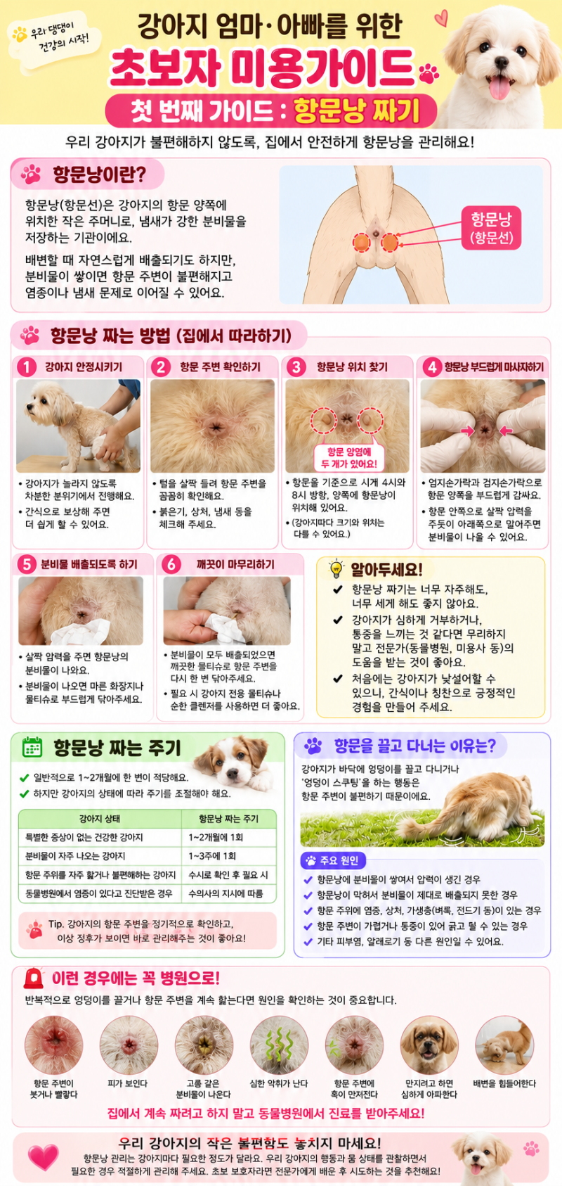 강아지 엄마·아빠를 위한 초보자 미용 가이드 [항문낭]