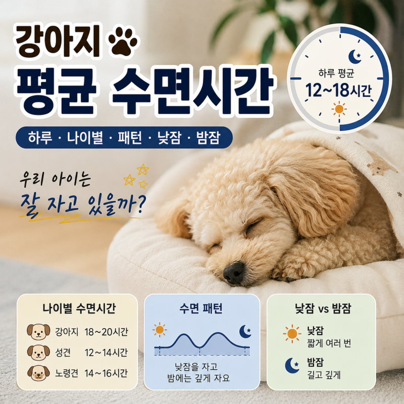 강아지 평균 수면시간(하루, 나이별, 패턴, 낮잠, 밤잠)
