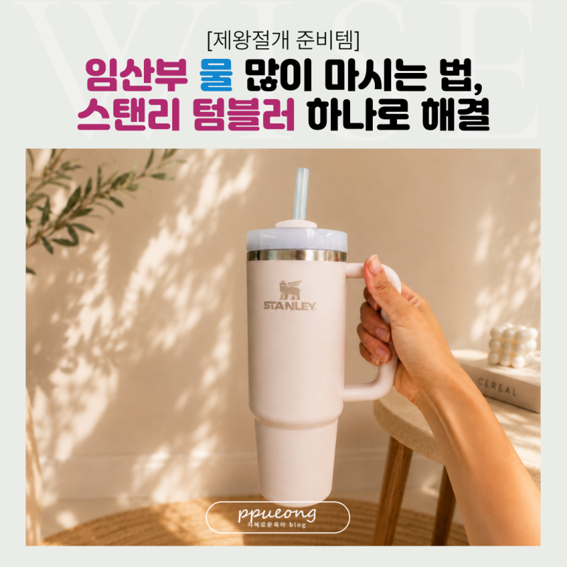 임산부 물 많이 마시는 법, 스탠리 텀블러 하나로 해결 (제왕절개 준비템)