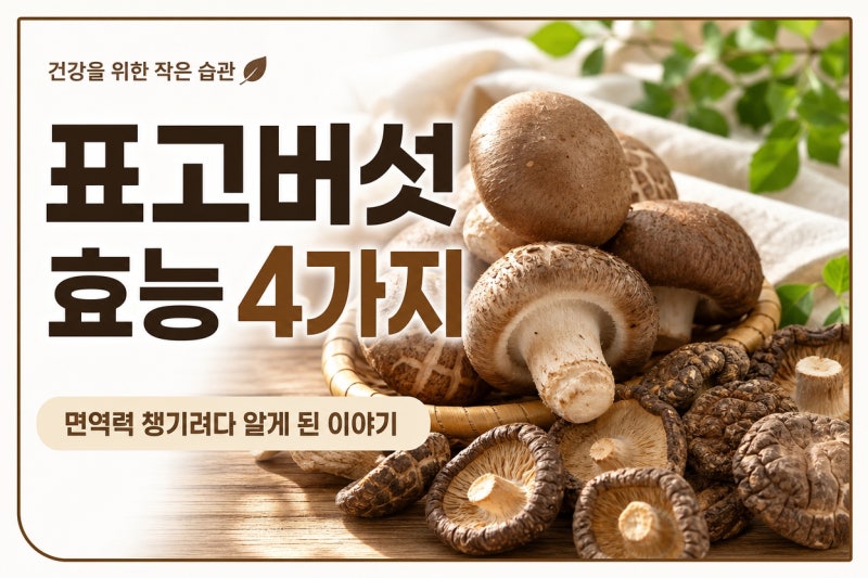 "몰랐으면 서운할 뻔" 표고버섯의 효능 4가지