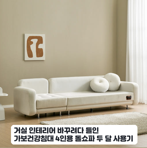 거실 휴식용으로 선택한 F포그니L SE 가보세라믹 4인소파 한 달간 앉아본 소감
