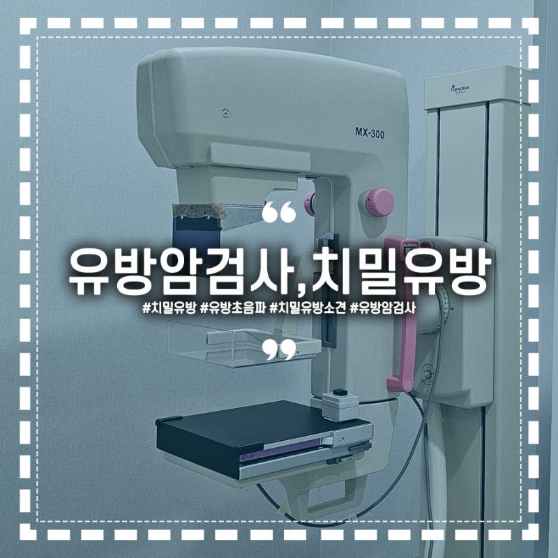 종합건강검진 결과 '이상소견없음'인데 왜 권고사항이 붙었을까? 유방암검사 치밀유방소견 ....