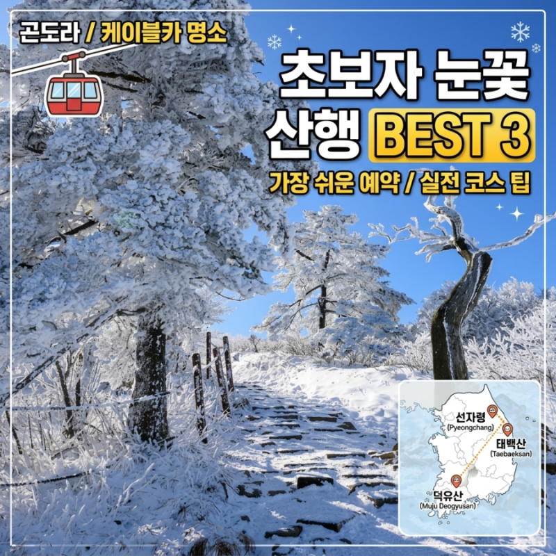 미리 준비하자! 초보자 겨울 눈꽃산행지 추천 BEST 3 | 덕유산 곤도라 예약 팁 선자령 태백산 ....