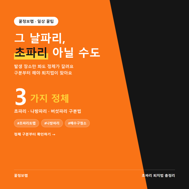 초파리 퇴치법, 나방파리·버섯파리 구분부터 다르다 (2026년 8월)