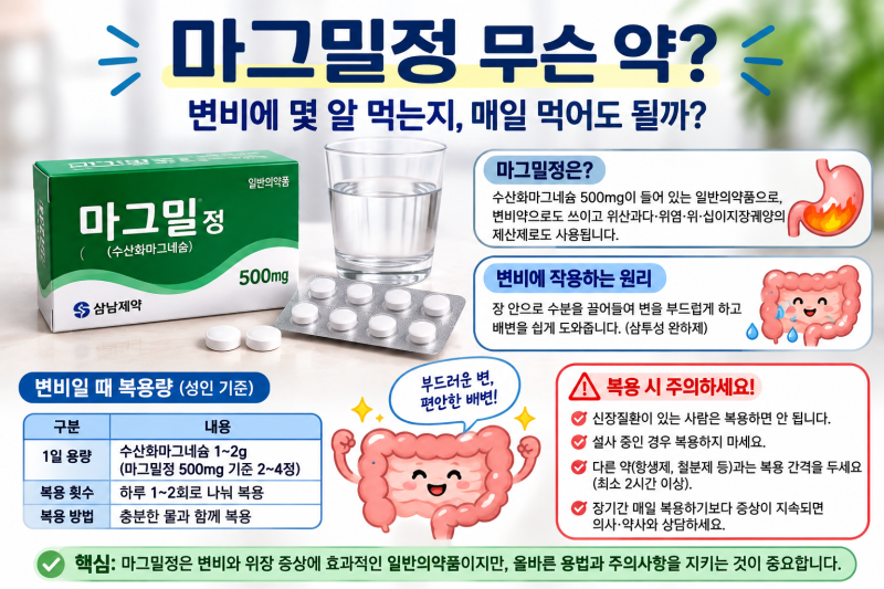 마그밀정 무슨 약? 변비에 몇 알 먹는지, 매일 먹어도 될까?