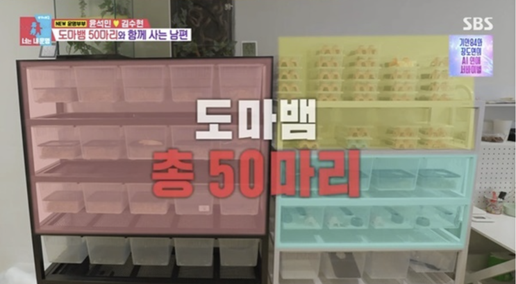 “에어컨비만 80만원?!…<b>윤석민</b> 700만원 <b>도마뱀</b> 50마리 폭로”  난리....