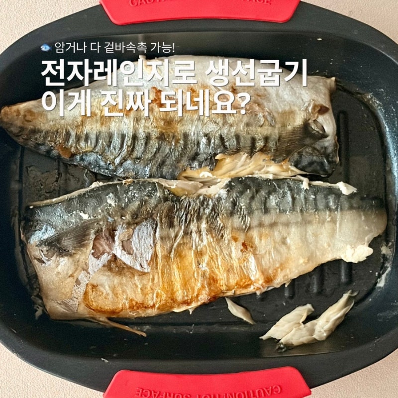전자레인지로 생선굽기! 렌지쿡 스마트그릴 실사용 후기