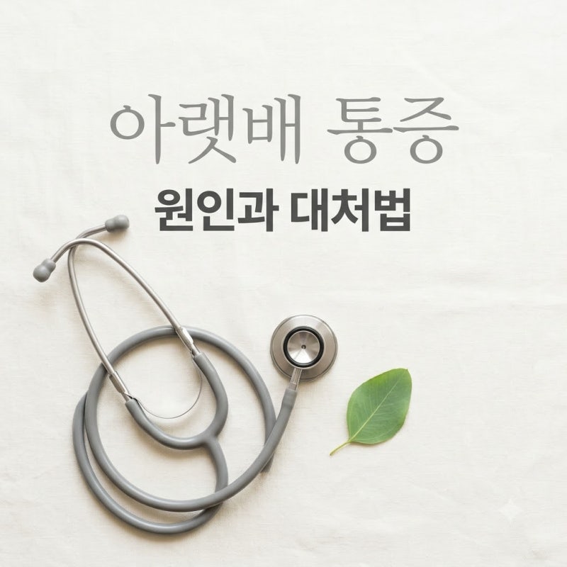 왼쪽 아랫배 통증 원인과 응급 신호, 성별별 의심 질환 총정리