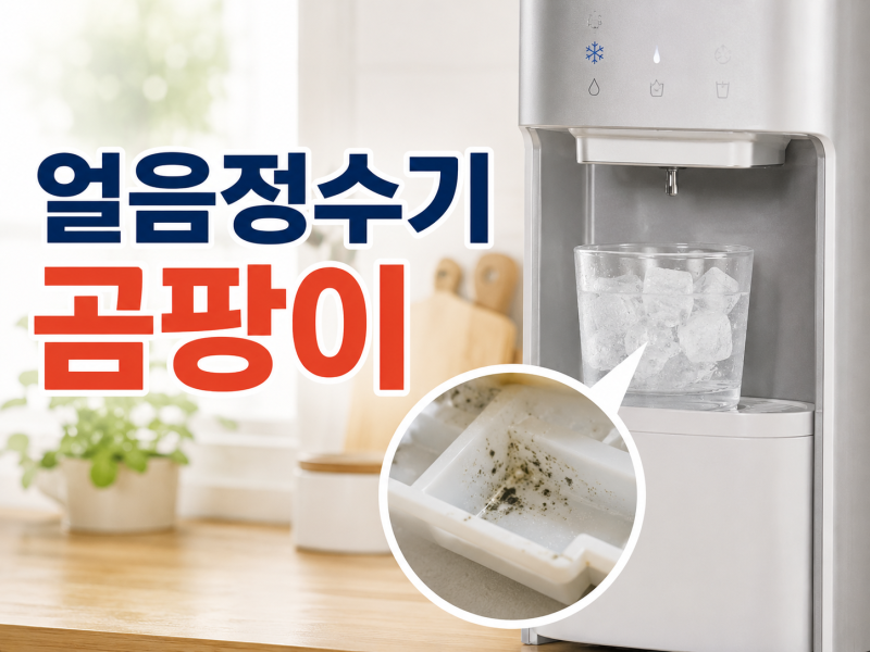 얼음정수기 곰팡이처럼 보일 때, 얼음부터 버리고 확인할 곳