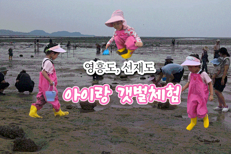 [서해 갯벌체험] 물때표 보는 법, 준비물, 아이 동반 꿀팁 (가을 갯벌)