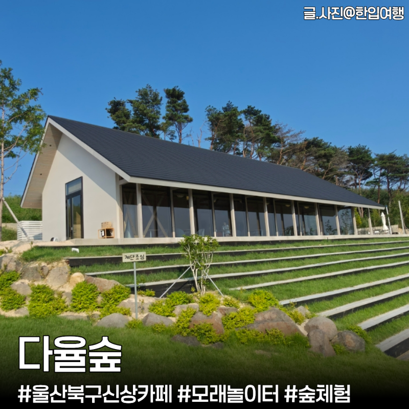 울산 북구 신상카페 '다율숲' 아기랑 갈만한 산속카페(모래놀이터·넓은잔디·숲체험)