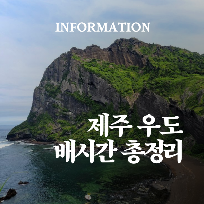 우도 배시간 총정리 성산항 종달항 배편 요금 완벽가이드
