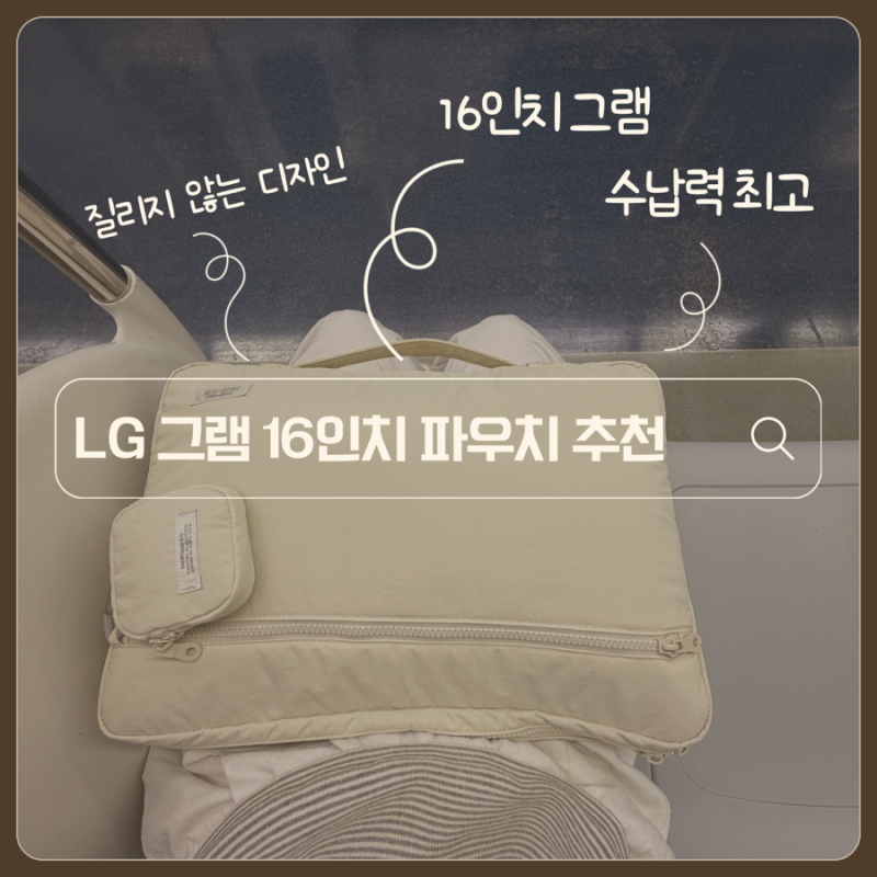 내돈내산 LG 그램 16인치 노트북 파우치 추천