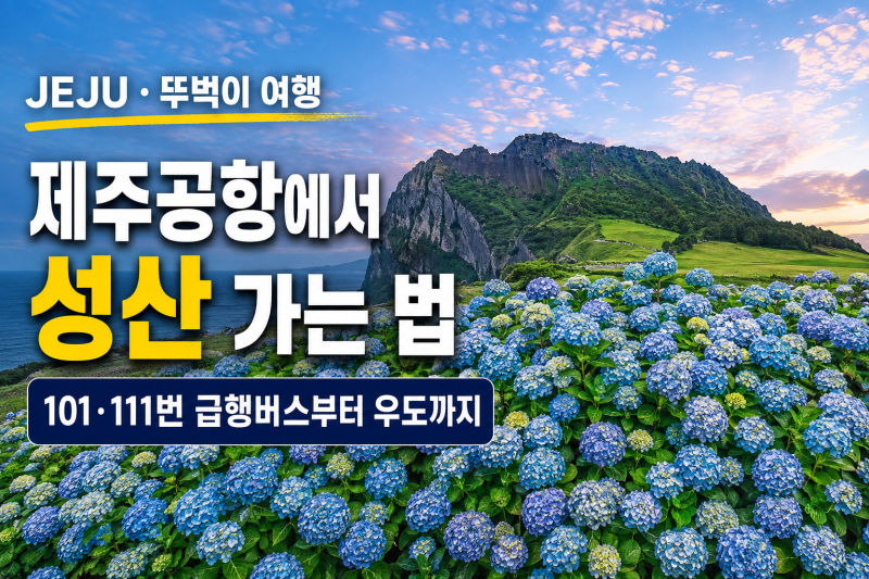 제주공항에서 성산 가는 법｜101·111번 급행버스부터 성산일출봉·우도까지