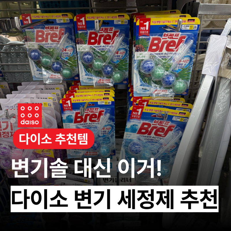 "변기솔 없이 어떻게 청소해?" 다이소 변기클리너 추천 3가지