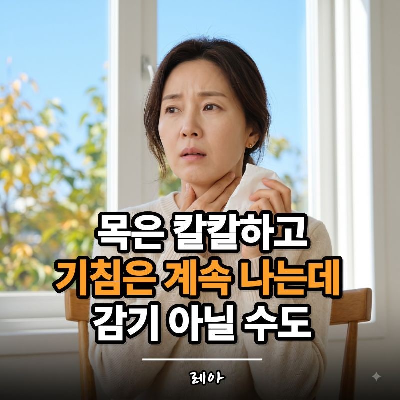 환절기 목이 칼칼하고 기침 난다면? 감기와 알레르기 비염 구별하는 법