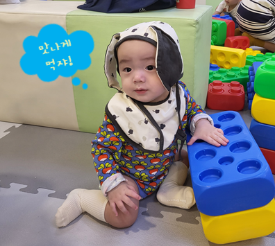 이유식 시판 브랜드 총정리! 유명 업체 체험팩 다 먹여보고 비교하기❤️