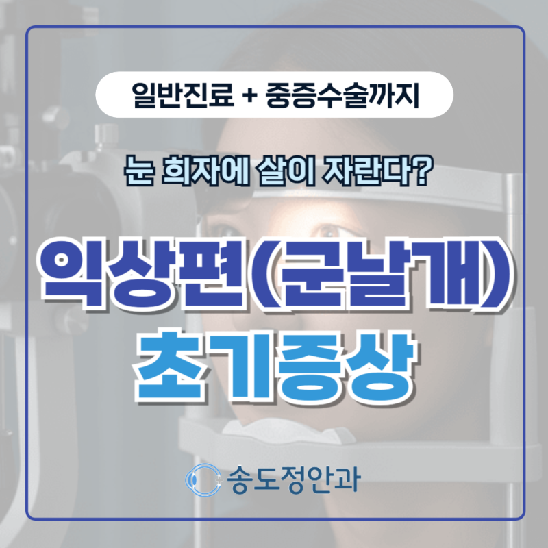 송도군날개치료안과 눈 흰자에 살이 자란다면? 익상편 (군날개) 초기증상