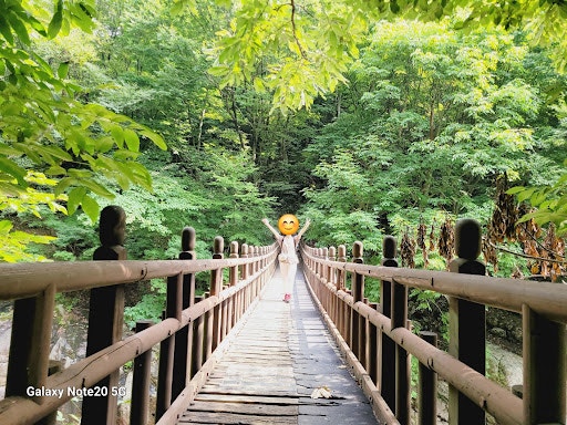 [지리산 당일치기] 백무동 한신계곡 폭포 트레킹과 함양 흑돼지 맛집 재방문기