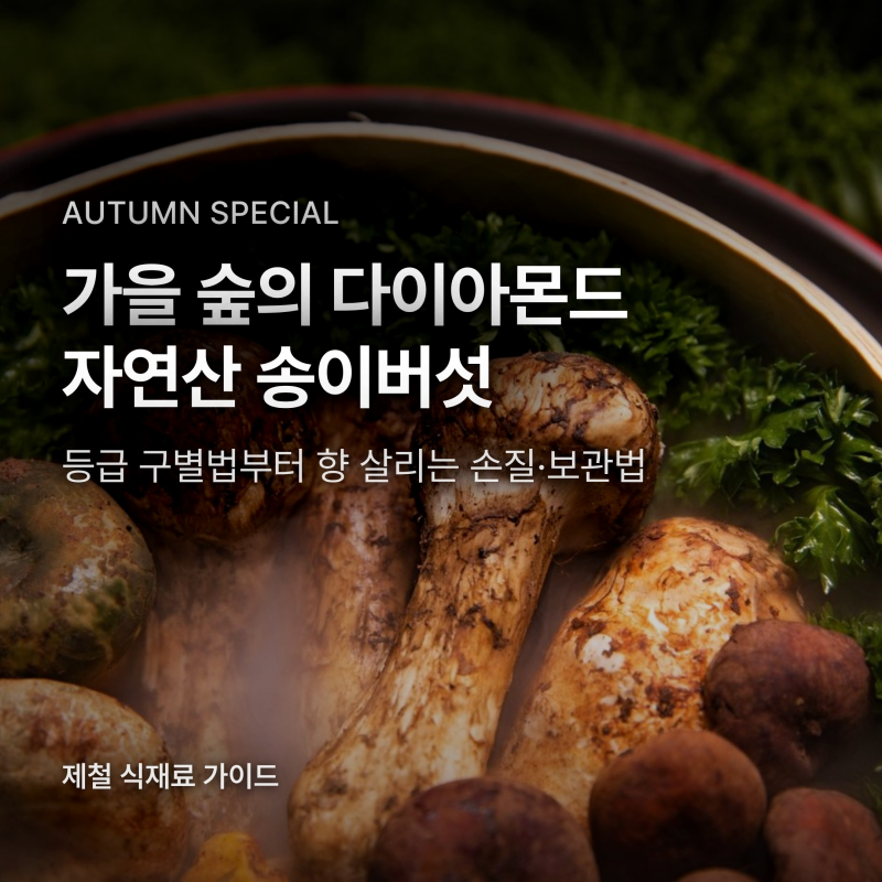 자연산 송이버섯 먹는법, 등급 기준부터 향 지키는 손질·냉동 보관법
