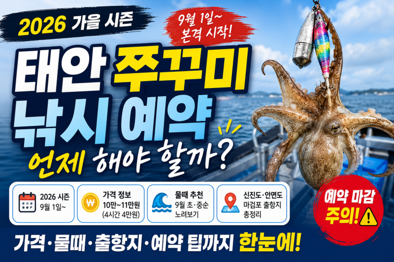 태안 쭈꾸미 낚시 예약 언제 해야 할까?｜2026 시즌·가격·물때·신진도·안면도 총정리