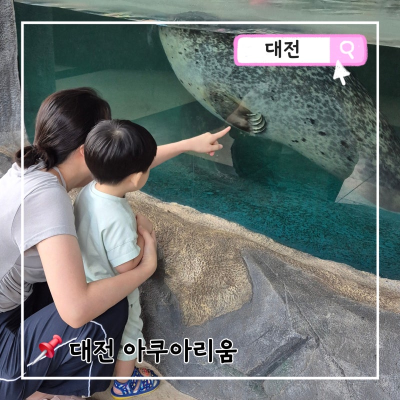 대전 아이와 갈만한 곳 몰랑아 놀자 10탄 : 대전 보문산 아쿠아리움 방문 (주차/입장료 할인/....
