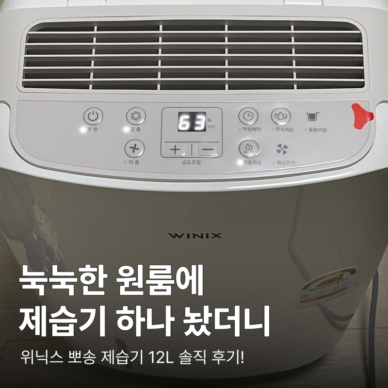 원룸 제습기 추천｜위닉스 12L 한 달 사용 솔직 후기