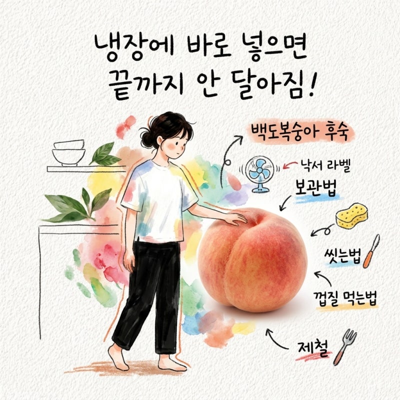 냉장에 바로 넣으면 끝까지 안 달아짐 백도복숭아 후숙 알고 보관법 씻는법 껍질 먹는법 제....