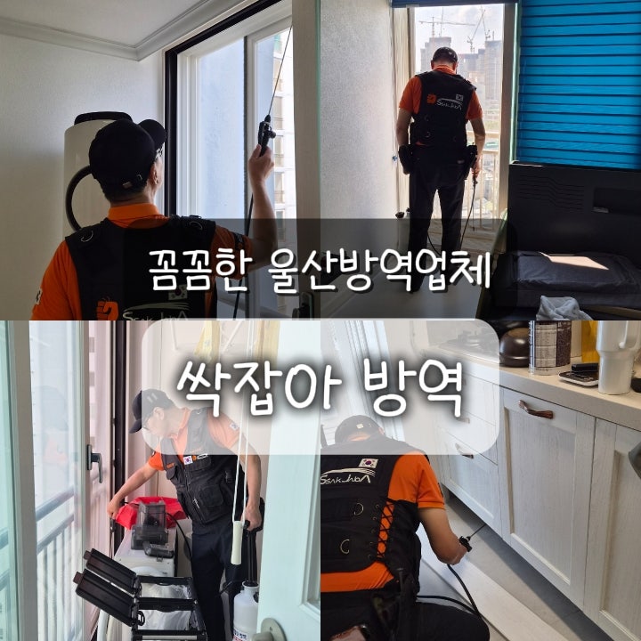 울산방역업체 싹잡아방역, 바퀴벌레 먼지다듬이 타지역도 갑니다