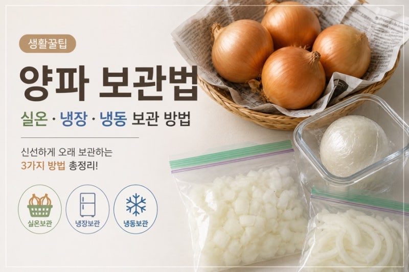 [생활꿀팁] 양파 보관법｜실온·냉장·냉동 여름철 오래 보관 하는 방법