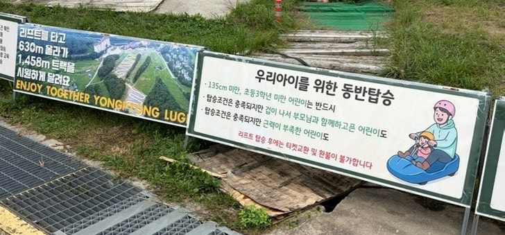 평창 아이와 가볼만한곳｜모나용평 루지 9세 아이 동반탑승 후기! 가격·할인 총정리