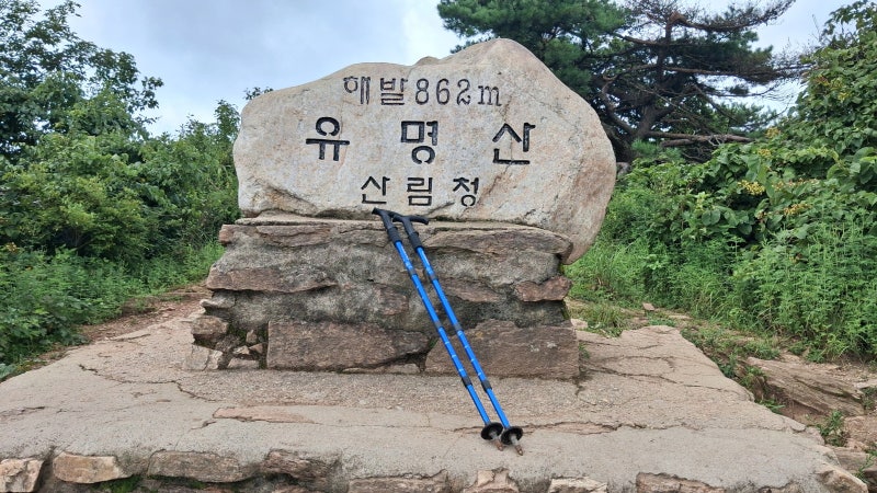 100대명산 (14) 유명산 등산로와 최단길 산행 기록