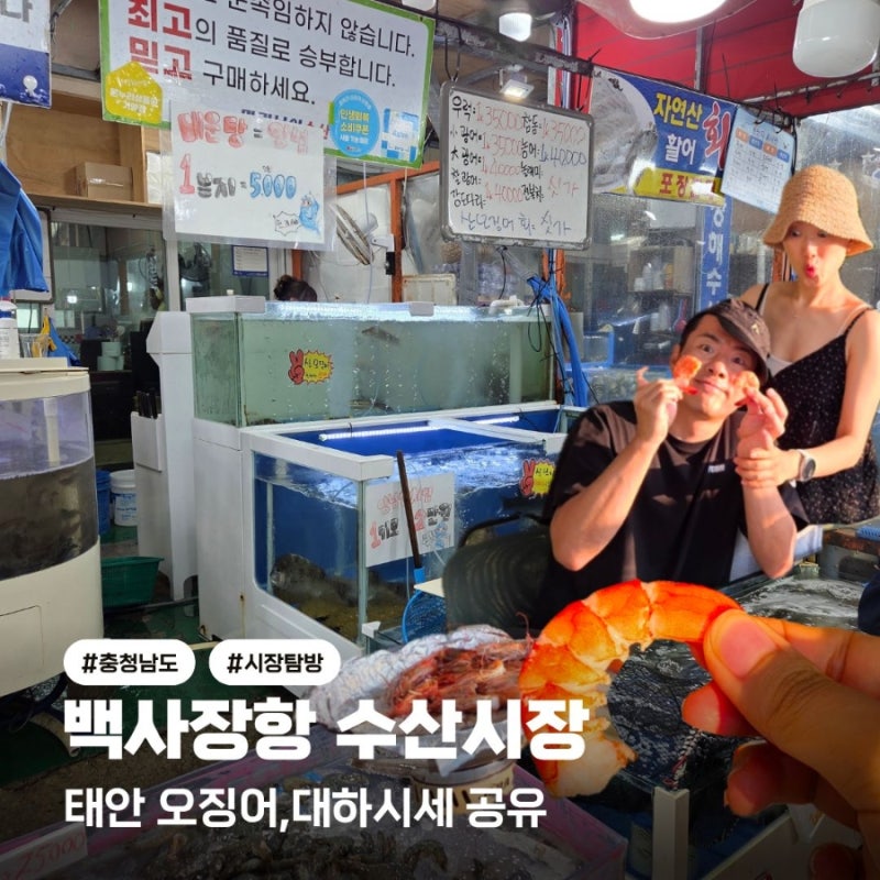 태안 안면도 백사장항 수산시장 오징어, 대하 시세 정보 포장후기!