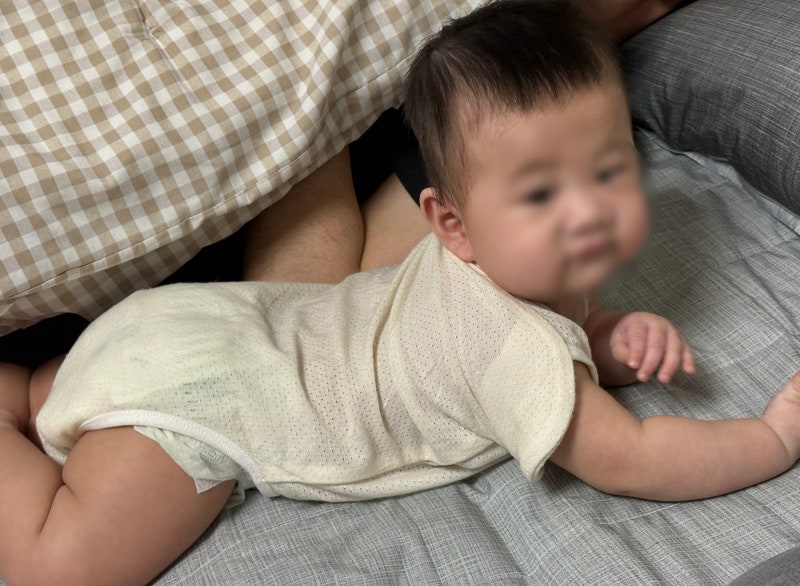 아기 블루베리 언제부터 양 블루베리빵 퓨레